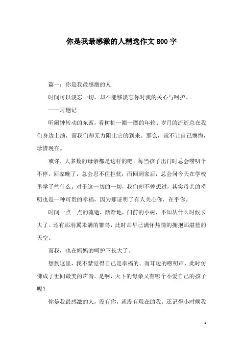 你是我最感激的人精选作文800字