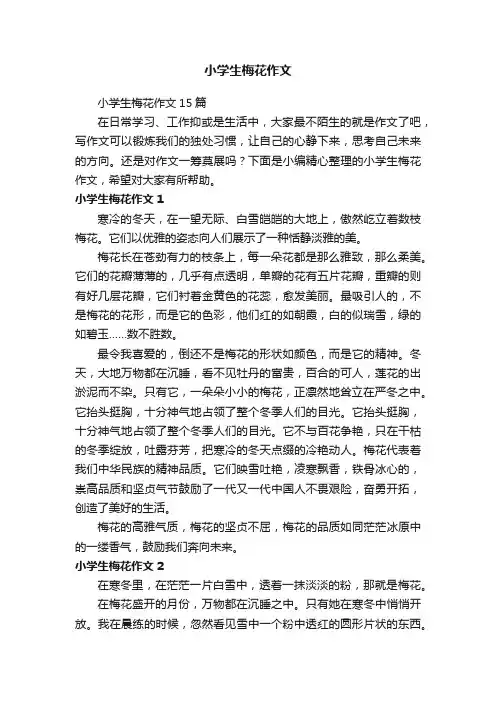 小学生梅花作文15篇