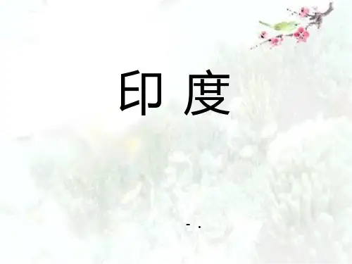《印度》PPT