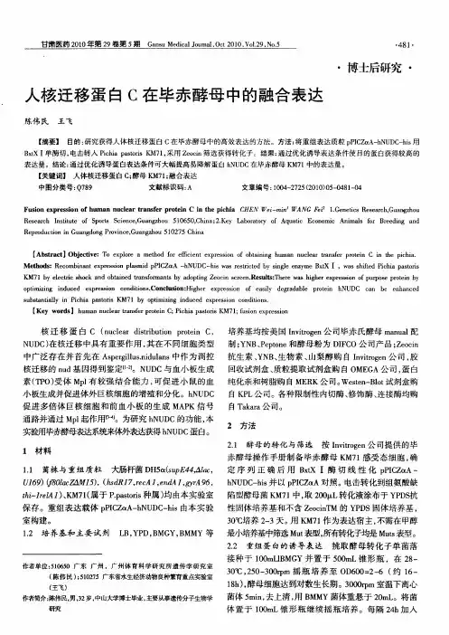 人核迁移蛋白C在毕赤酵母中的融合表达