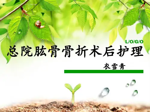 肱骨骨折护理查房ppt(完整版)