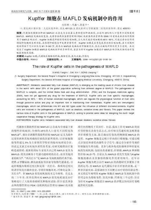 Kupffer细胞在MAFLD发病机制中的作用