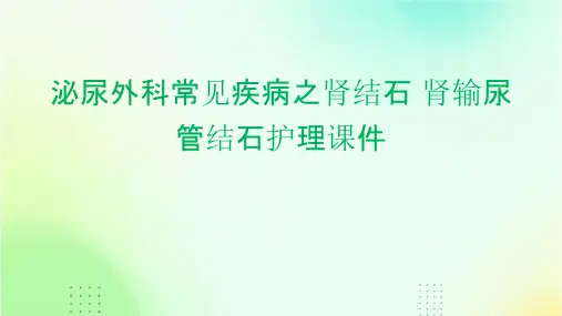 泌尿外科常见疾病之肾结石 肾输尿管结石护理课件