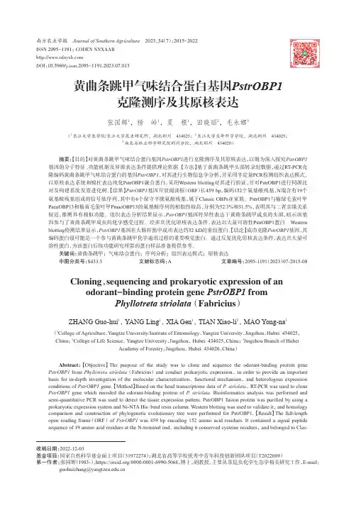 黄曲条跳甲气味结合蛋白基因PstrOBP1克隆测序及其原核表达