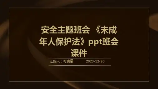 安全主题班会 《未成年人保护法》PPT班会课件