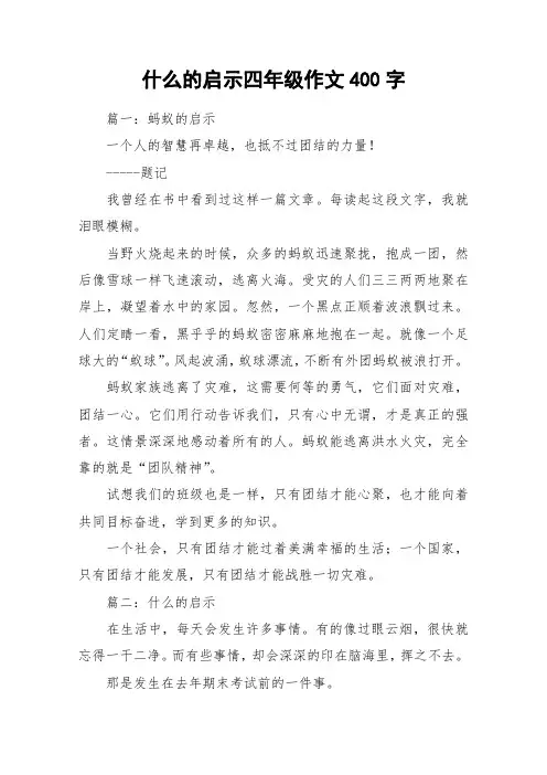 什么的启示四年级作文400字_作文