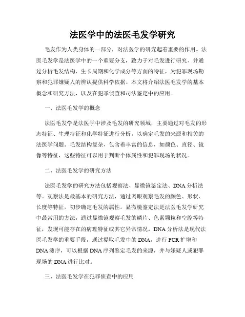 法医学中的法医毛发学研究