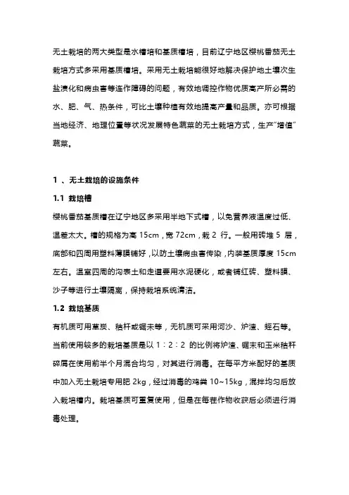 樱桃番茄无土栽培技术