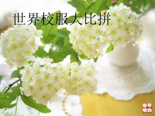 世界各国校服