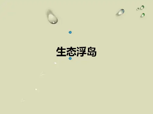 生态浮岛、生态植物墙、渗水性铺装、雨水花园资料