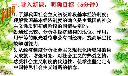 中国特色社会主义基本经济制度
