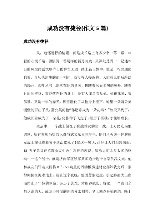 成功没有捷径(作文5篇)