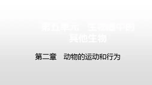 第二章第三节 社会行为