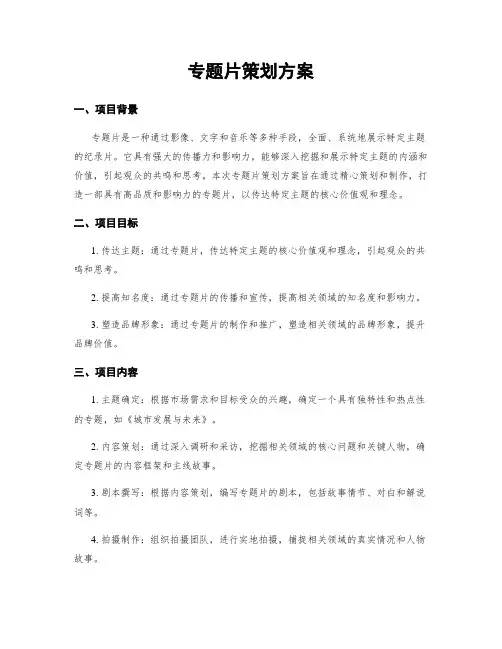专题片策划方案