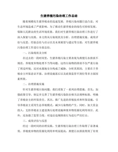 生猪养殖污染治理工作总结