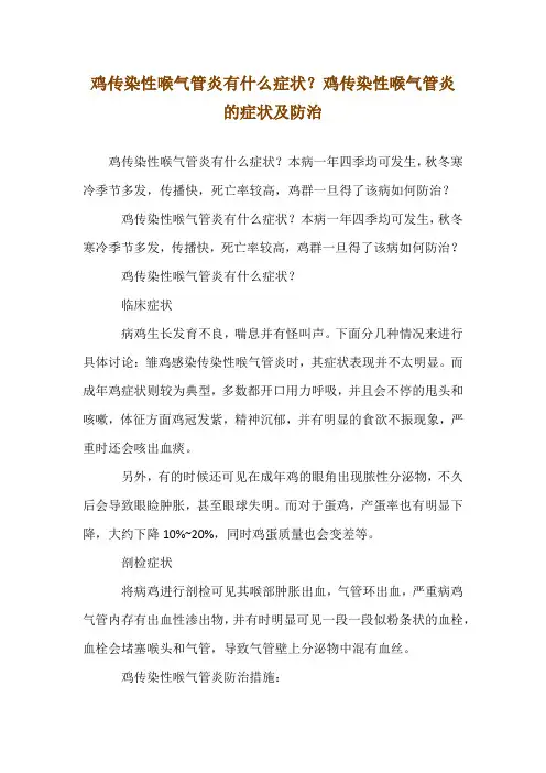 鸡传染性喉气管炎有什么症状？鸡传染性喉气管炎的症状及防治