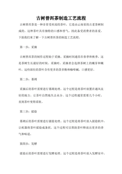 古树普洱茶制造工艺流程
