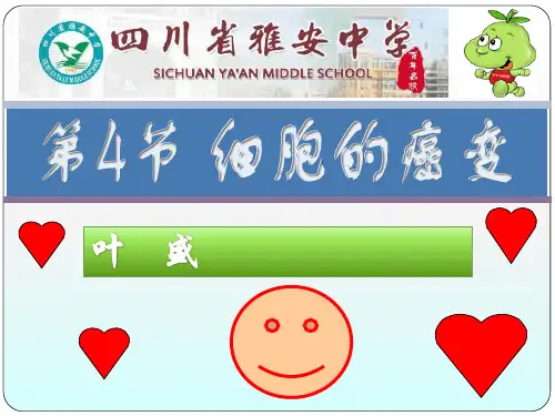 细胞癌变ppt课件
