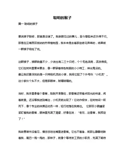 作文《聪明的猴子》