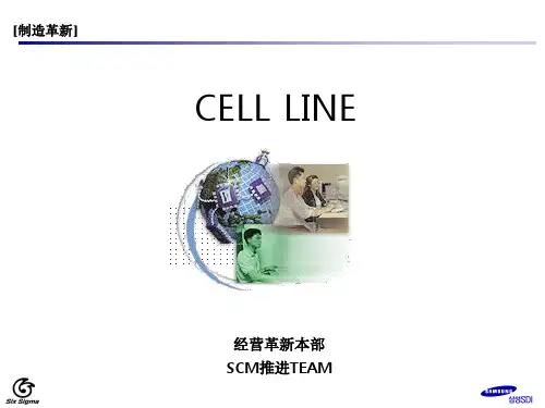 08-CELL_LINE精益管理