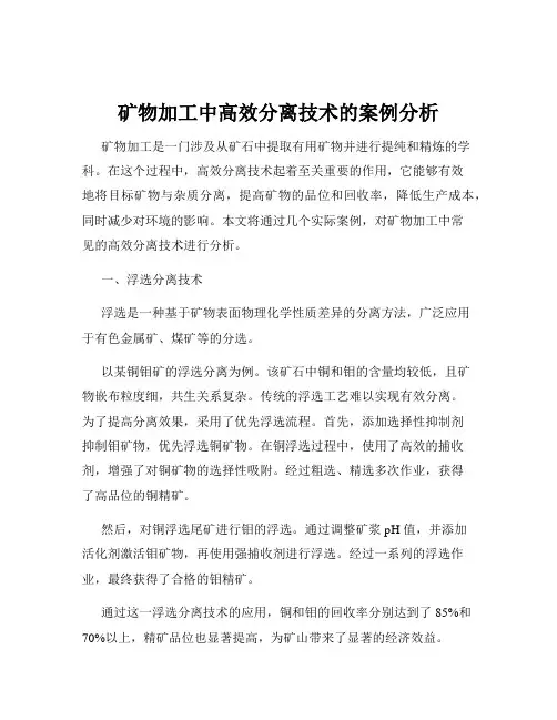 矿物加工中高效分离技术的案例分析