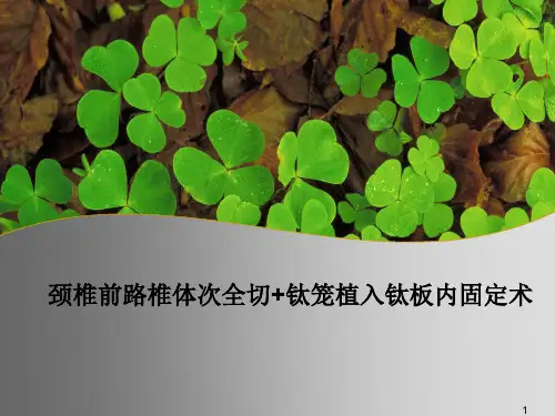 颈椎前路手术讲PPT课件