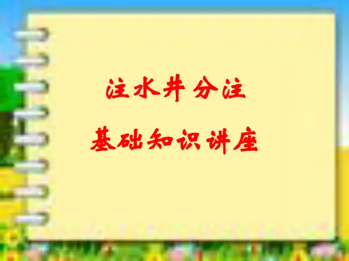 注水井分注基础知识.ppt