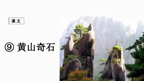 9 黄山奇石 课件  (共18张PPT)