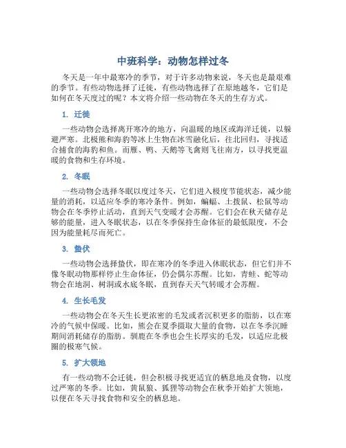 中班科学：动物怎样过冬