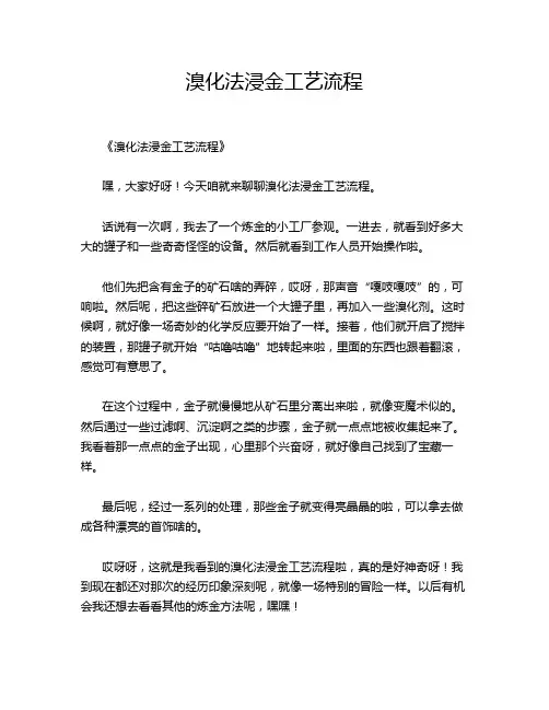 溴化法浸金工艺流程