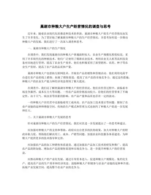 巢湖市种粮大户生产经营情况的调查与思考