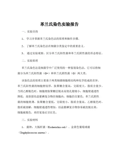 革兰氏染色实验报告