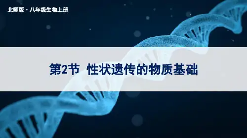《性状遗传的物质基础》PPT课件 北师版生物