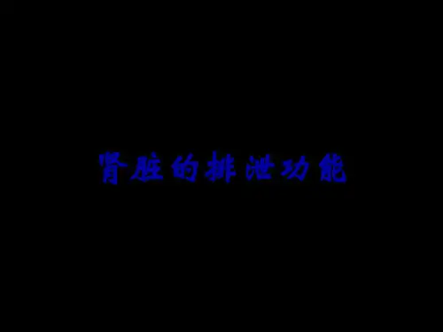 肾脏的排泄功能