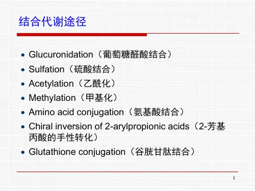 药物代谢 结合反应