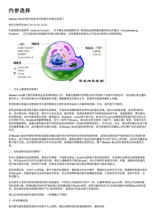 内参选择——精选推荐