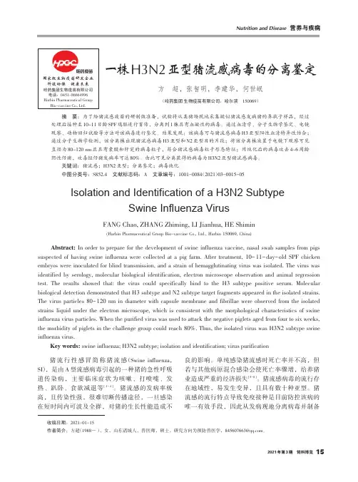 一株H3N2亚型猪流感病毒的分离鉴定