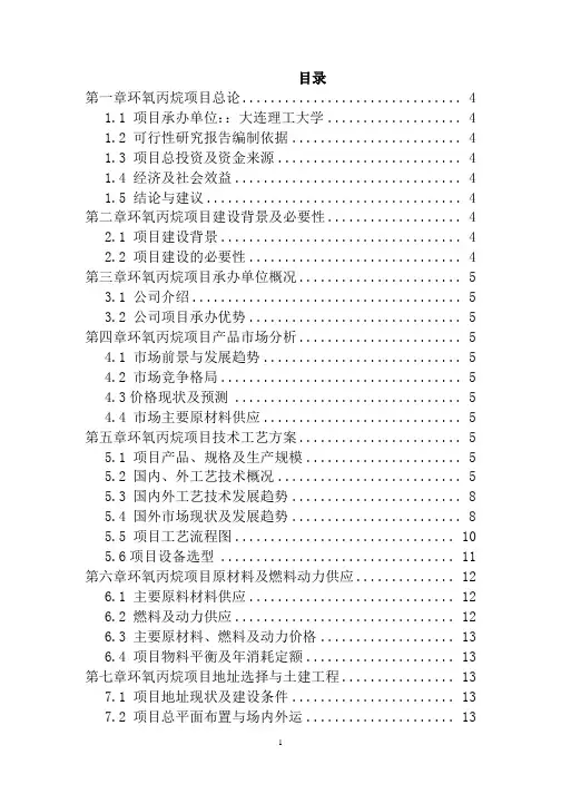 环氧丙烷中试工段项目建设可行性研究报告