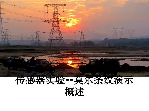 【精编】传感器实验--莫尔条纹演示概述幻灯片