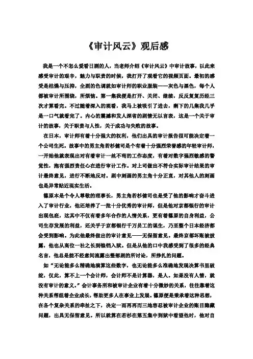 审计风云