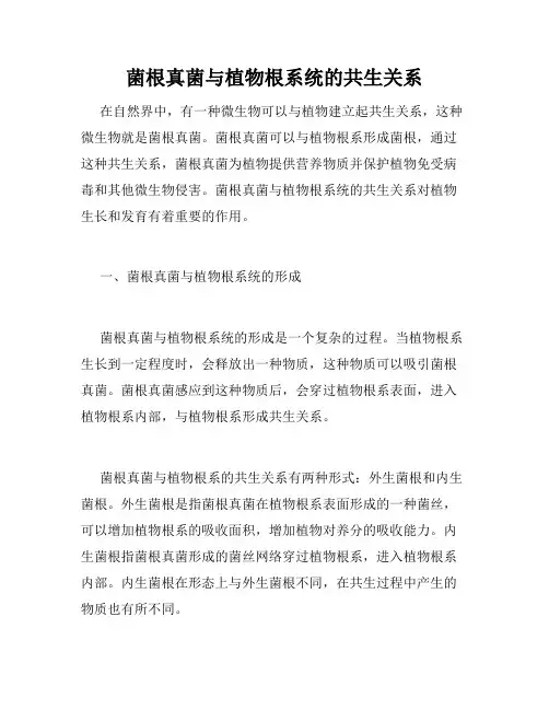 菌根真菌与植物根系统的共生关系