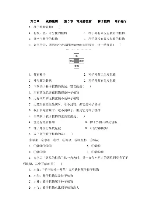 浙教版科学七年级上册_《常见的植物》同步练习题(第1课时)