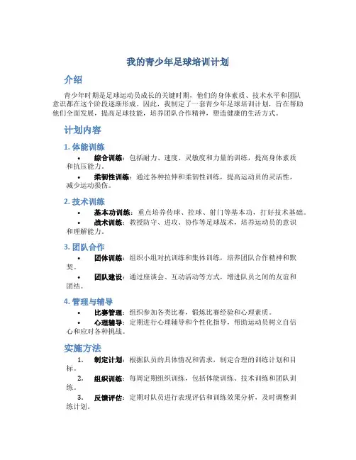 我的青少年足球培训计划
