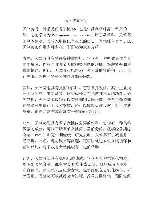 天竺葵的作用