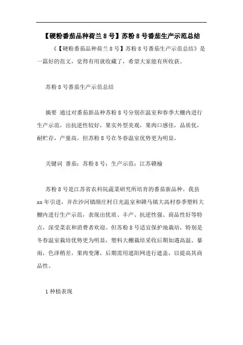 2020年【硬粉番茄品种荷兰8号】苏粉8号番茄生产示范总结