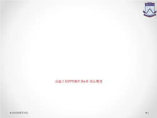 金融工程PPT课件第6章 商品期货