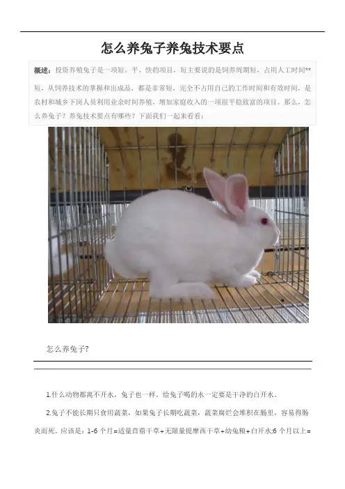 怎么养兔子养兔技术要点