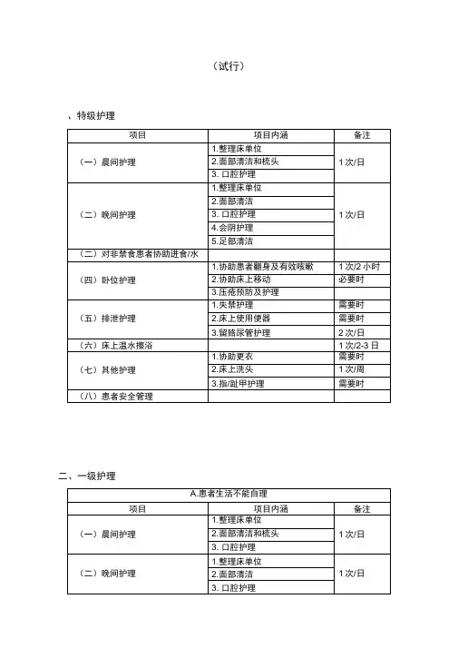 基础护理服务项目
