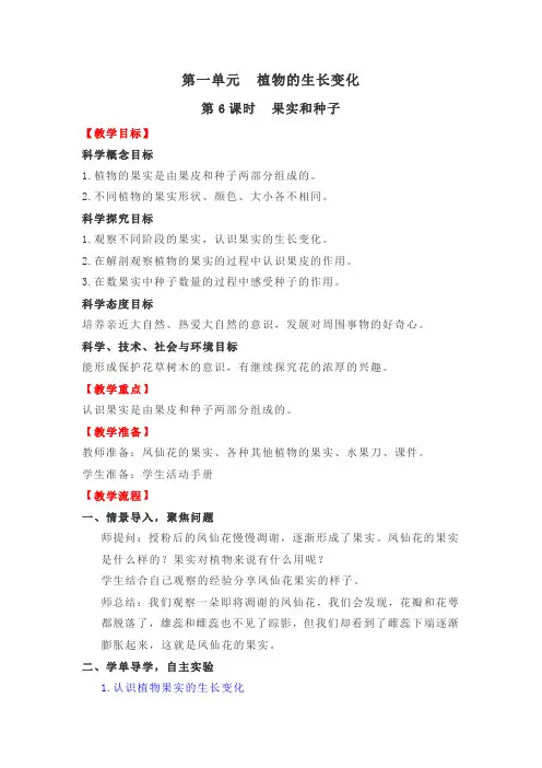 教科版小学科学四年级下册《果实和种子》名师教案