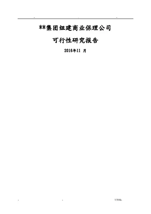某集团组建商业保理公司可行性研究报告